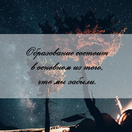 цитата об образовании и реферате